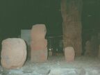 170 Museum of Tahiti and Her Isles - Tikis.JPG (26 KB)